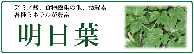 アミノ酸、食物繊維、葉緑素、各種ミネラルが豊富な明日葉