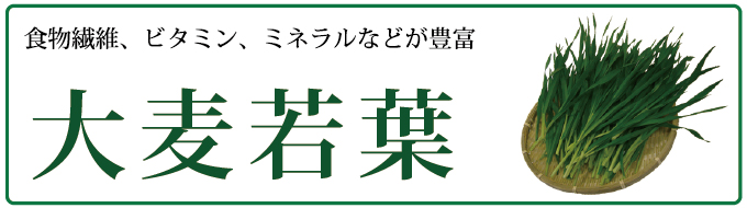 食物繊維、ビタミン、ミネラルなどが豊富な大麦若葉