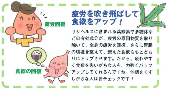 疲労を吹き飛ばして食欲をアップ